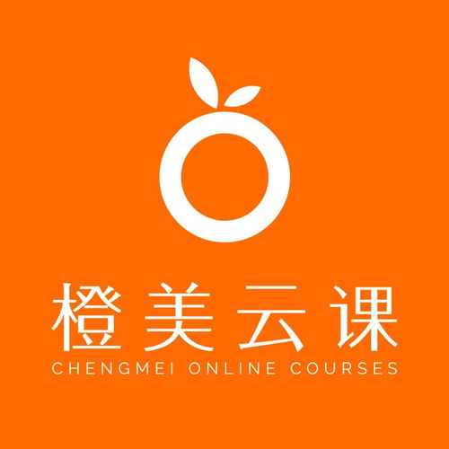 武汉橙美云课与聪蓉网络科技 在线教育领域的探索者与赋能者